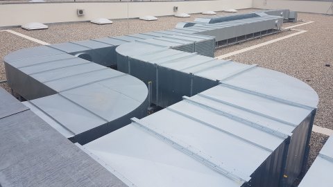 SFB Blu Potsdam